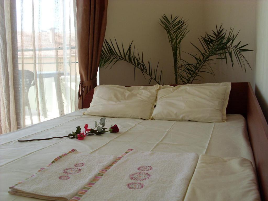Park Apartments & Rooms Popovi ซันดันสกี ห้อง รูปภาพ