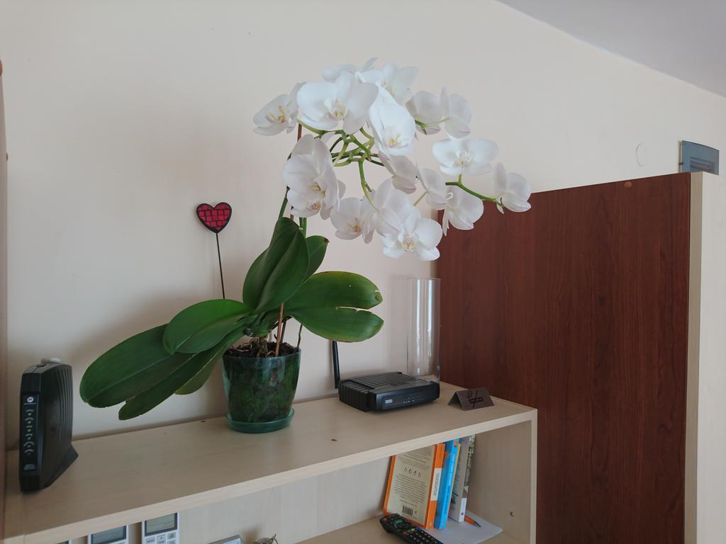 Park Apartments & Rooms Popovi ซันดันสกี ภายนอก รูปภาพ